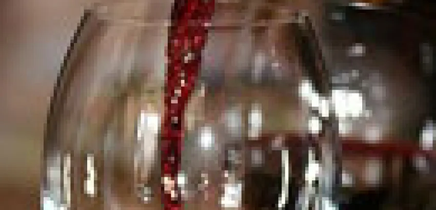 Feria del Vino y la Denominación de Origen concluye con gran afluencia de visitantes
