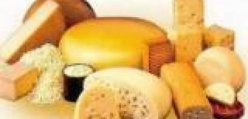 Organizan en España la Semana del queso “El Gusto es nuestro” Organizan en España la Semana del queso “El Gusto es nuestro”