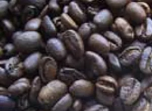 Guatemala: Subastan café gourmet por la internet
