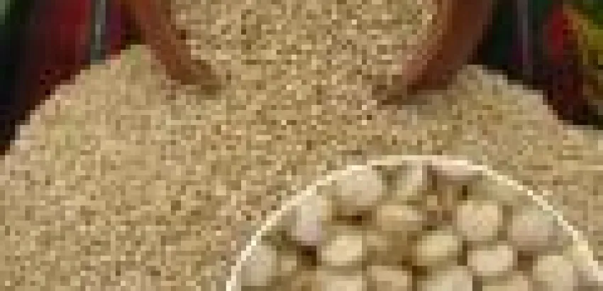 Quinua, el verdadero oro de los incas