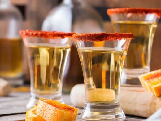 Playa del Carmen ya espera la 12ª Expo Tequila y Mezcal 2025