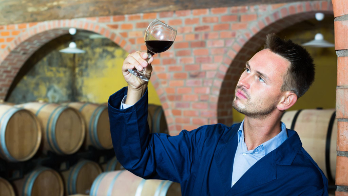 Joven sosteniendo una copa de vino en la bodega