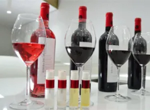 ¿Has estado alguna vez en una cata en la que NO hubiera vinos?