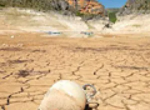 El mundo pudiera quedarse sin comida por la escasez de agua