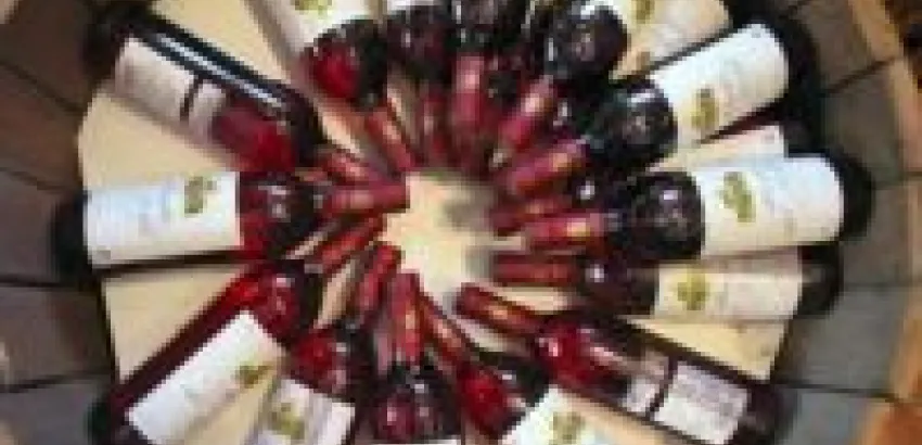 Los vinos españoles apuestan definitivamente por China Los vinos españoles apuestan definitivamente por China
