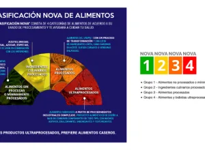 clasificacion-nova-alimentos