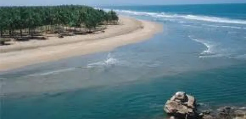 Panamá, país invitado a VII edición de Vallarta Nayarit Gastronómica Panamá, país invitado a VII edición de Vallarta Nayarit Gastronómica