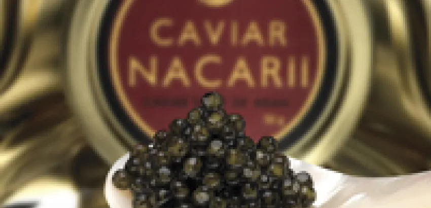 Entrevista a Sara Morales, directora de ventas de Caviar Nacarii Entrevista a Sara Morales, directora de ventas de Caviar Nacarii