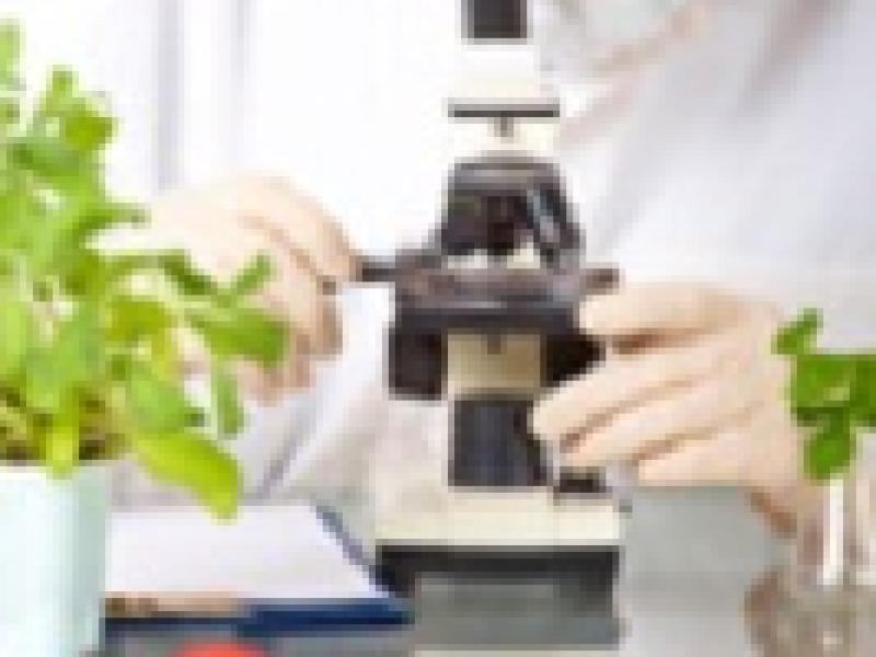 La UE impone condiciones más estrictas a los alimentos importados de Japón