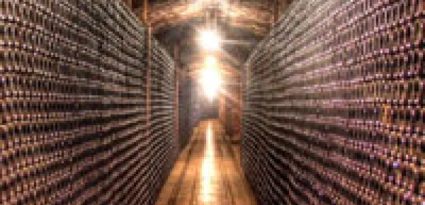 La «Larga Vida» de un vino La «Larga Vida» de un vino