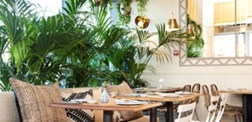 Sushita, referente en España en cocina Oriental, prevé crecer un 39 por ciento en 2016 Sushita, referente en España en cocina Oriental, prevé crecer un 39 por ciento en 2016
