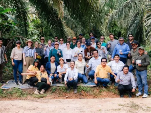 productores de palma de América Latina