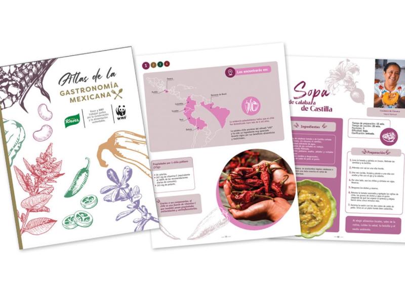 Atlas gastronomía mexicana 