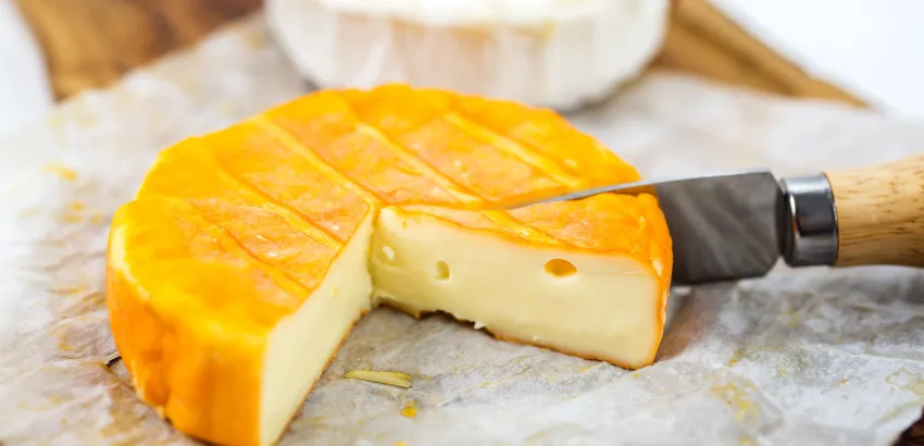 queso