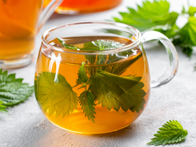 El té de ortiga actúa como antihistamínico natural