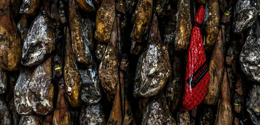 jamón joselito