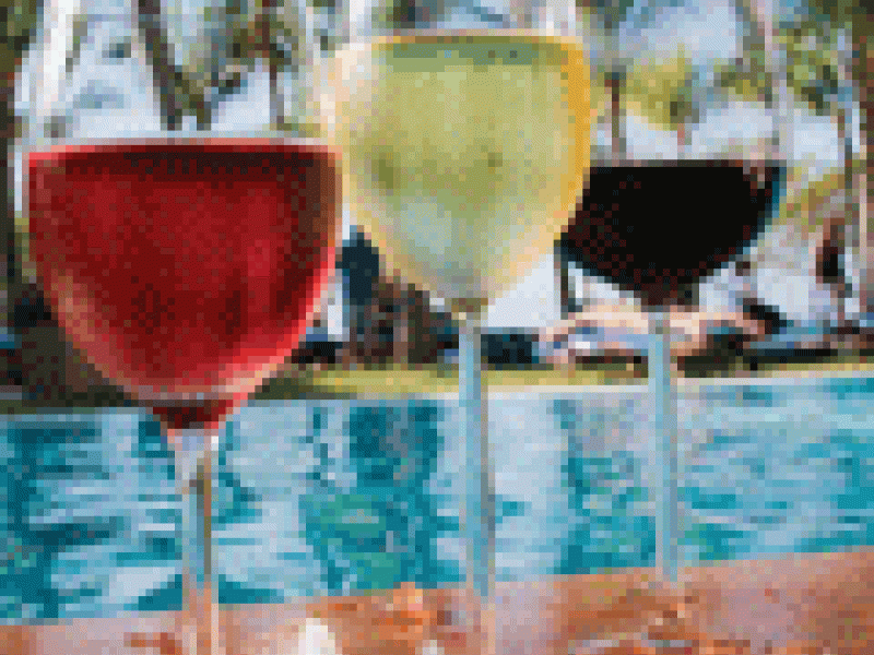 Climas cálidos, vinos frescos