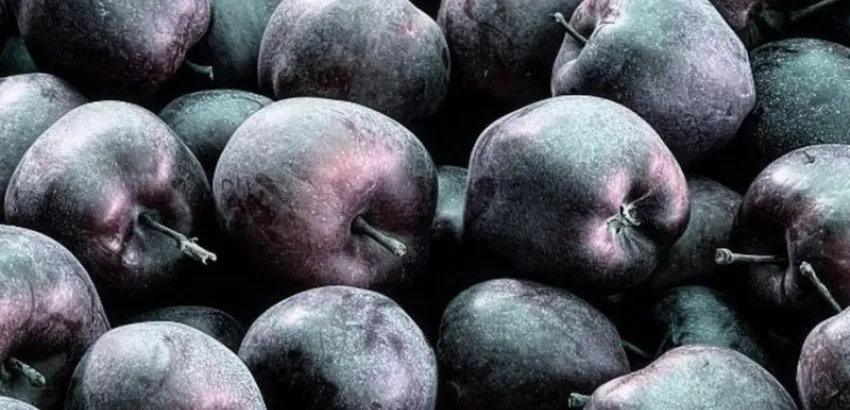 manzana negra manzana negra