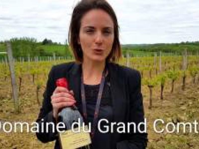Gascuña, tierra de D’Artagnan, los Mosqueteros y del Armagnac