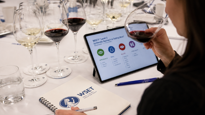 Alumno realizando una cata profesional de vinos durante una formación WSET, utilizando la metodología de análisis sensorial reconocida internacionalmente.