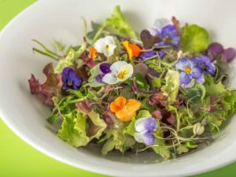 Isabel Maestre recupera los sabores olvidados gracias a proveedores 100 % ecológicos