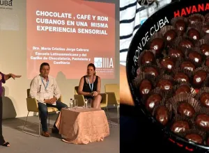 HostelCuba 2017 con aroma a cacao y ron cubano