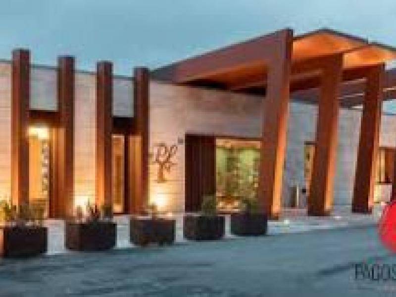  Comer en bodega: una experiencia única en Pagos de Leza