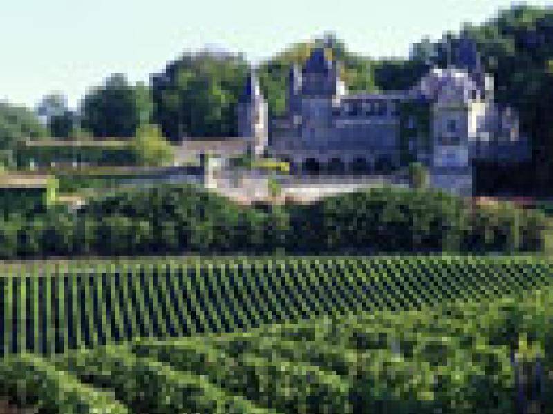 Aprendiendo sobre los vinos de Fronsac