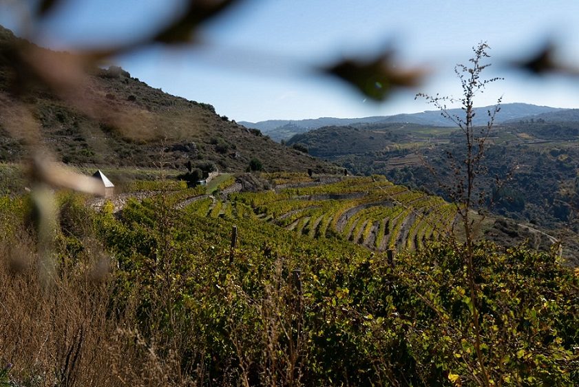 Gepdestino Manzaneda-Trevinca-Valdeorras-Godello-Viñedo