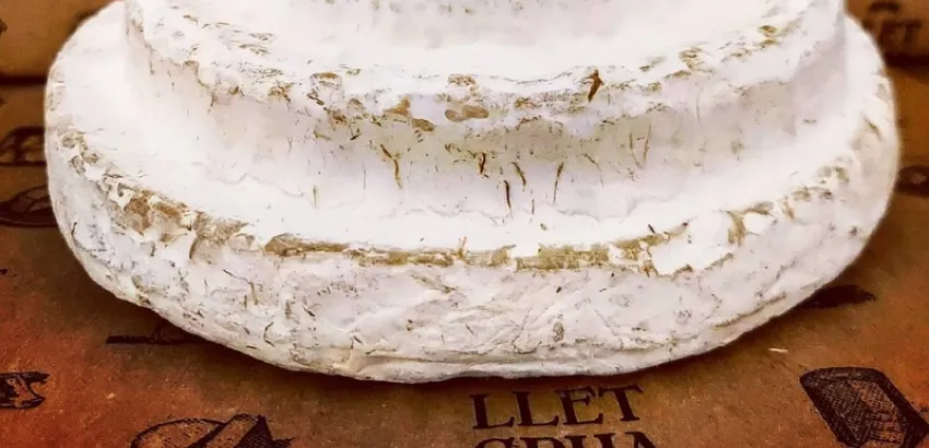Queso español Queso español
