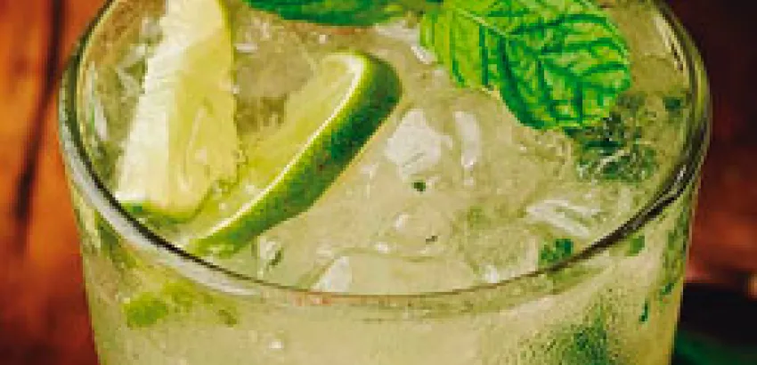 MOJITO, un clásico de clásicos MOJITO, un clásico de clásicos