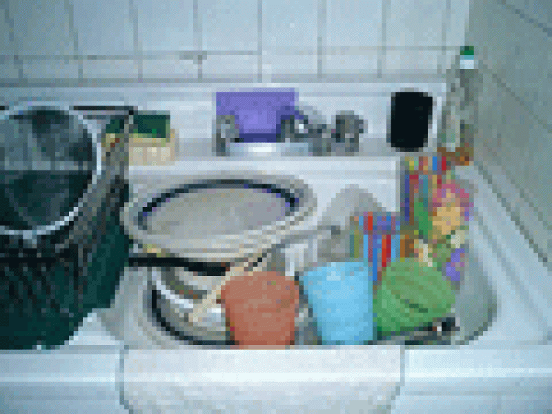 La cocina concentra la mayor cantidad de gérmenes en una casa