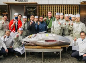 atun rojo subasta japón