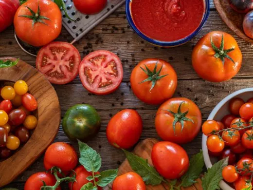 TOMATE EN FRUIT ATTRACTION
