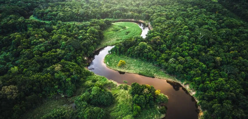 Amazonas Amazonas