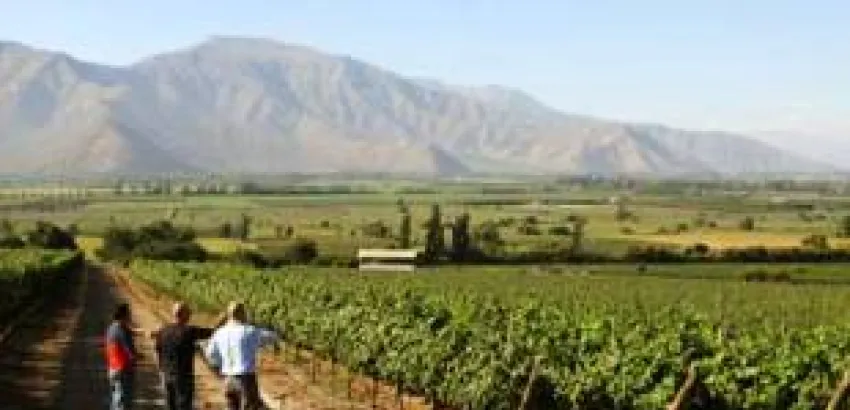 Enoturismo en Chile, las Rutas del Vino Enoturismo en Chile, las Rutas del Vino