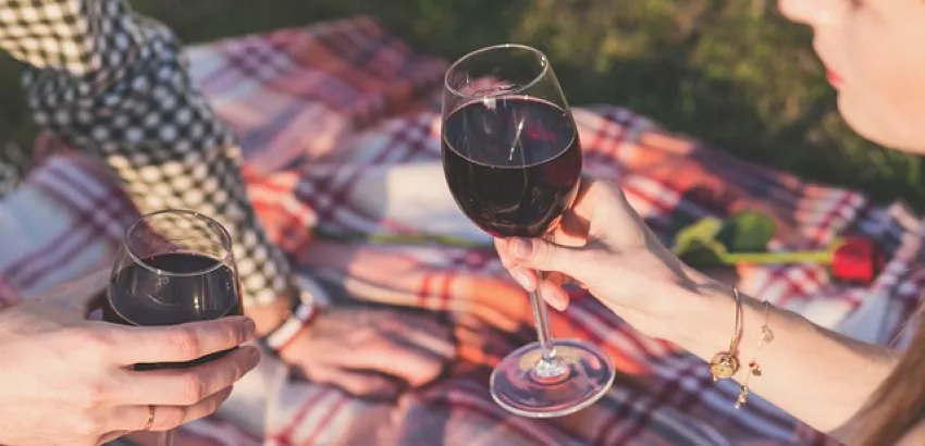 vinos vinos