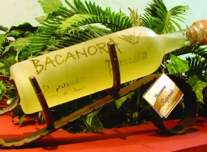 bacanora
