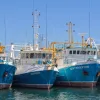 Crisis de pesca en Galicia
