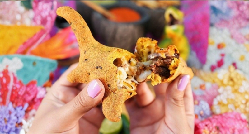 Dinoquesadilla dinoquesadillas en Coahuila