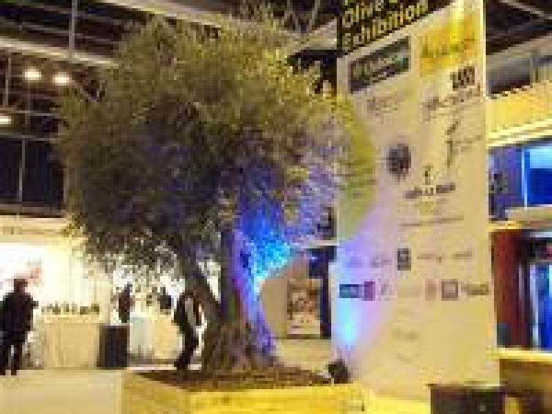 Compradores de aceite de oliva de todo el mundo visitaron Madrid con motivo de la World Olive Oil Exhibition