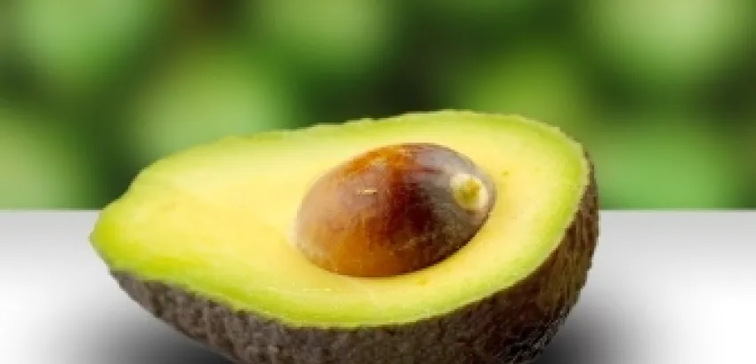 Alimentos de ida y vuelta