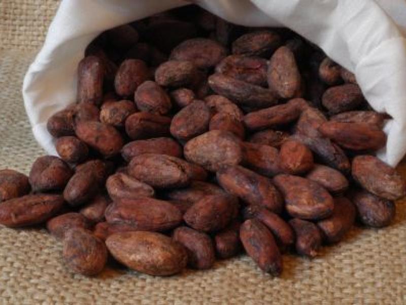 La impronta del cacao en la diversidad cultural de Baracoa