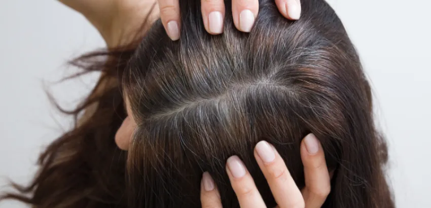 evitar las canas