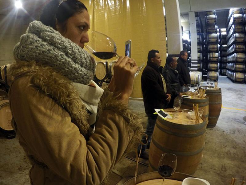Bodegas Torres: redescubriendo el sabor de España (II Parte)