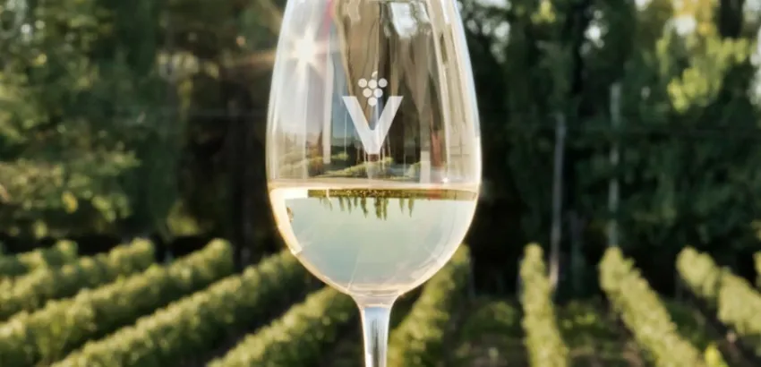 Nuevas novedades se presentarán en Vinitech Sifel 2024 vinitech sifel burdeos 2024