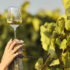 Copa de vino moscatel en cata internacional Muscats du Monde