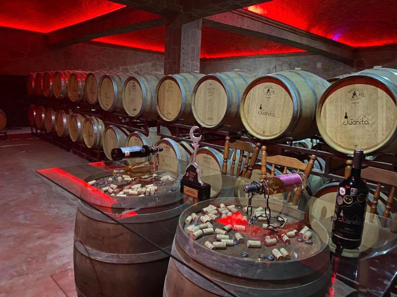 Turismo Enogastronómico: Desarrollo en LATAM