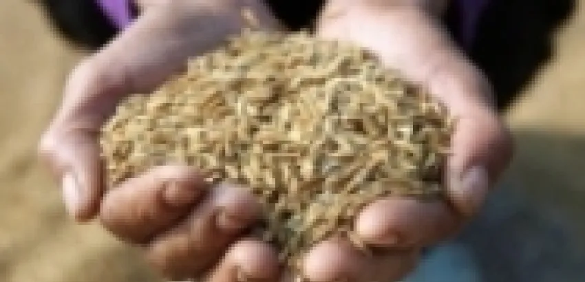 Europa: La crisis económica agravará aún más la situación del mercado alimentario