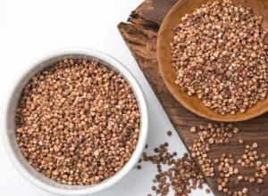 Dieta rica en sorgo para una óptima salud digestiva